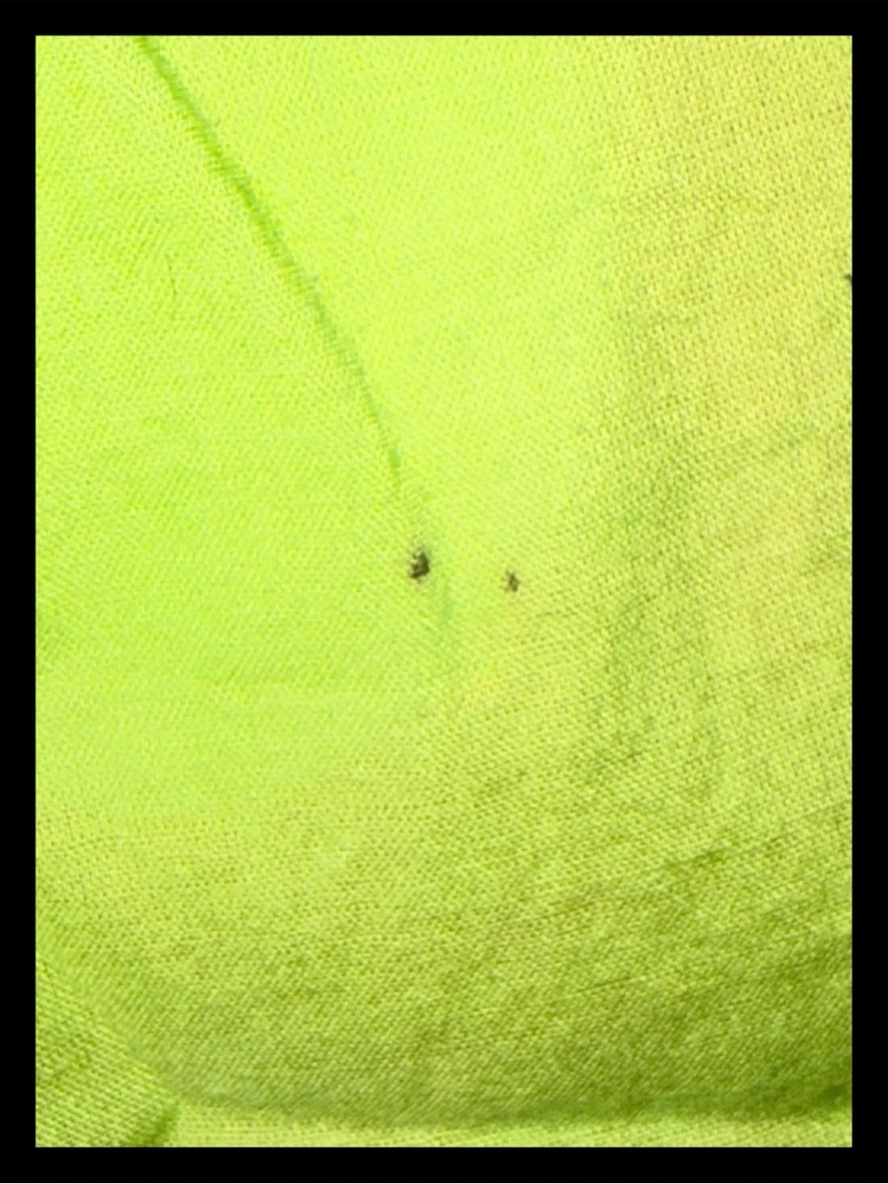 💕ⓅⒾⓃⓀ ⓋⓈ Y2K/SUPER RARE/VHTF Lime Green Embroidered Swim Coverup ✨EUC✨💕